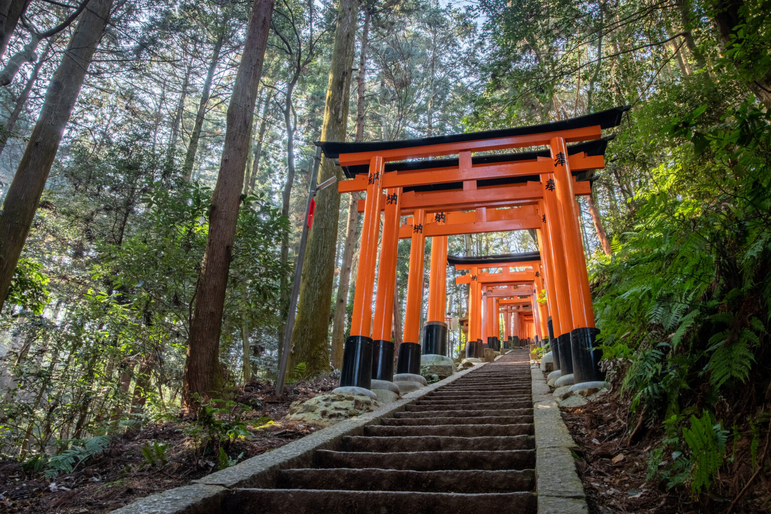 山の神社の静寂